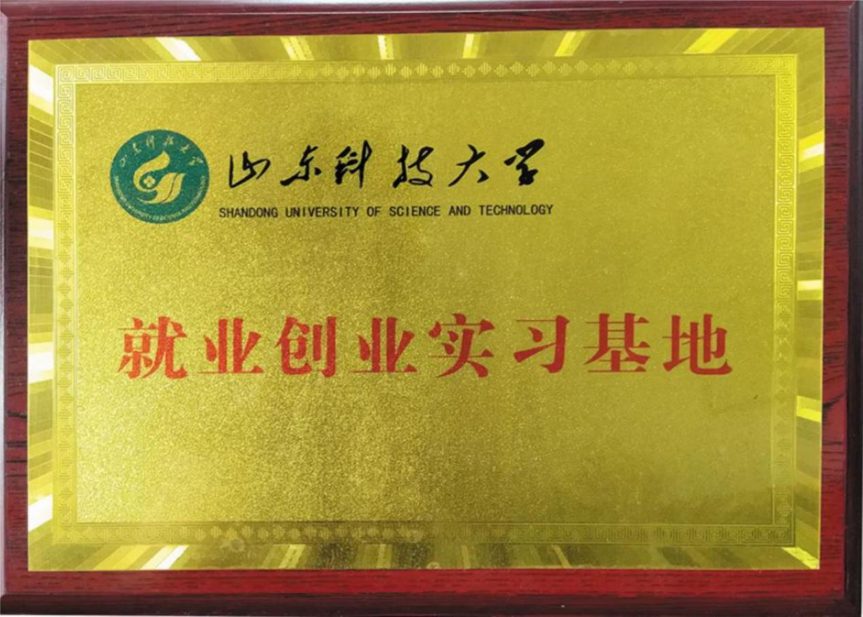 山东科技大学就业创业实习基地