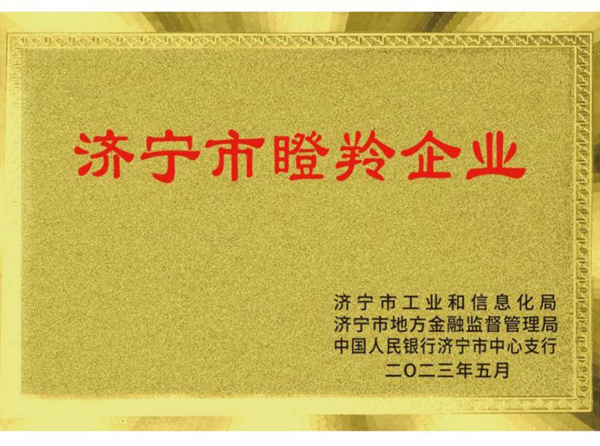 济宁市瞪羚企业(市级)